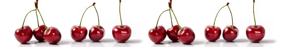 Model sticlă printată, Fructe