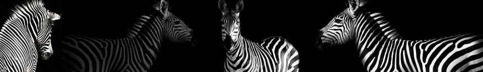 Model sticlă printată, Animale sălbatice
