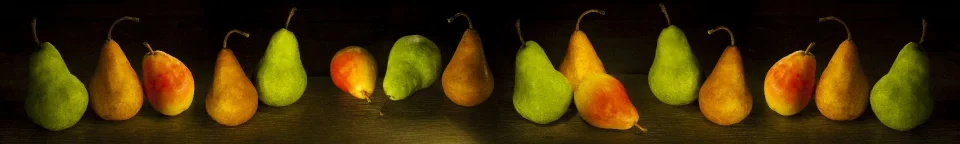 Model sticlă printată, Fructe