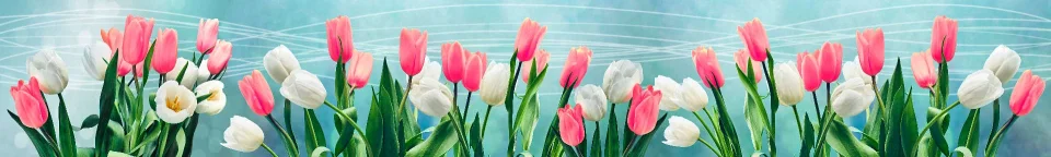 Model sticlă printată, Lalele