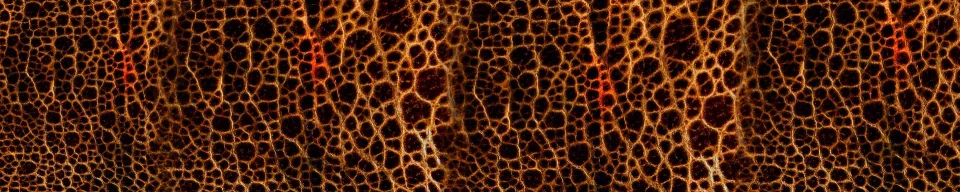 Model sticlă printată, Abstract