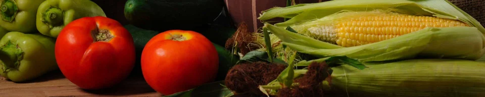 Model sticlă printată, Legume