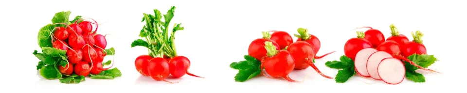 Model sticlă printată, Legume
