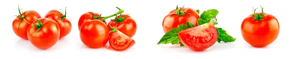 Model sticlă printată, Legume