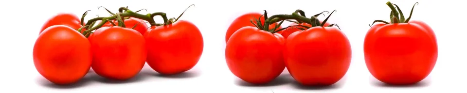 Model sticlă printată, Legume