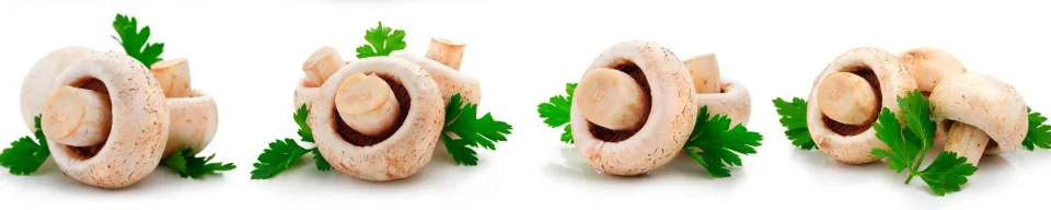 Model sticlă printată, Legume