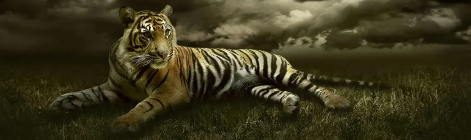 Model sticlă printată, Animale sălbatice