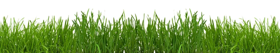 Model sticlă printată, Plante