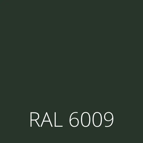 RAL 6009 Verde brad